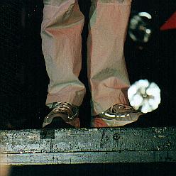 Brent Spiner
