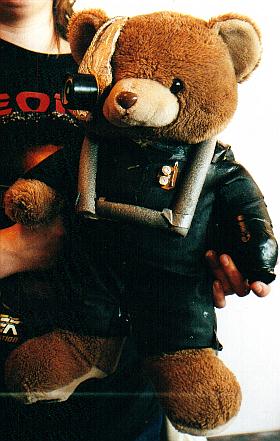 borg bear